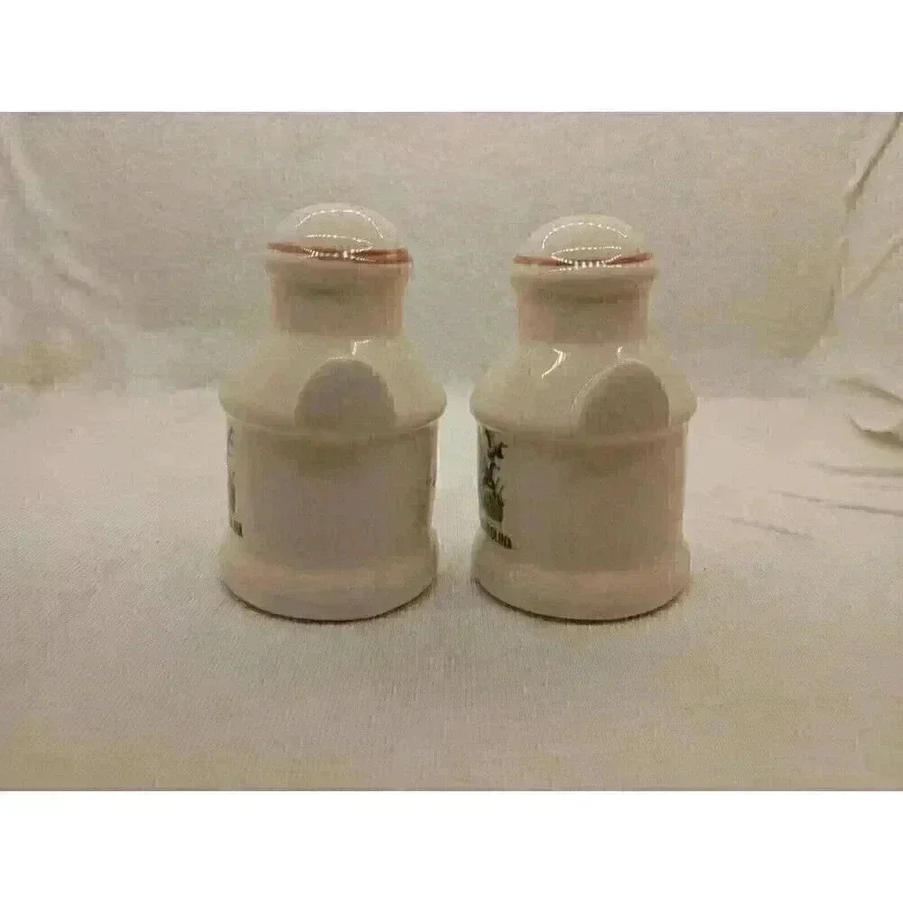 Souvenir Vtg North Carolina Salt And Pepper Shakers Collectable Home Decor